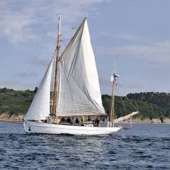IMG_20260530_094355_original
