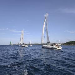 IMG_20260530_094521_original