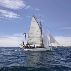 IMG_20260530_153144_original