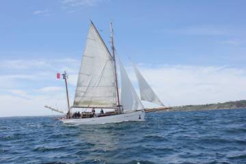 IMG_7595_original